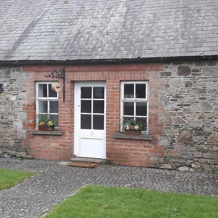 Mogue'S Cottage At Wells House & Gardens Wexford Eksteriør bilde